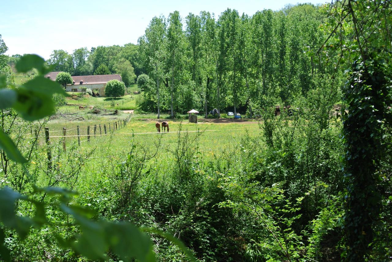 Le Moulin De Planiol Bed & Breakfast Le Vigan  Eksteriør bilde