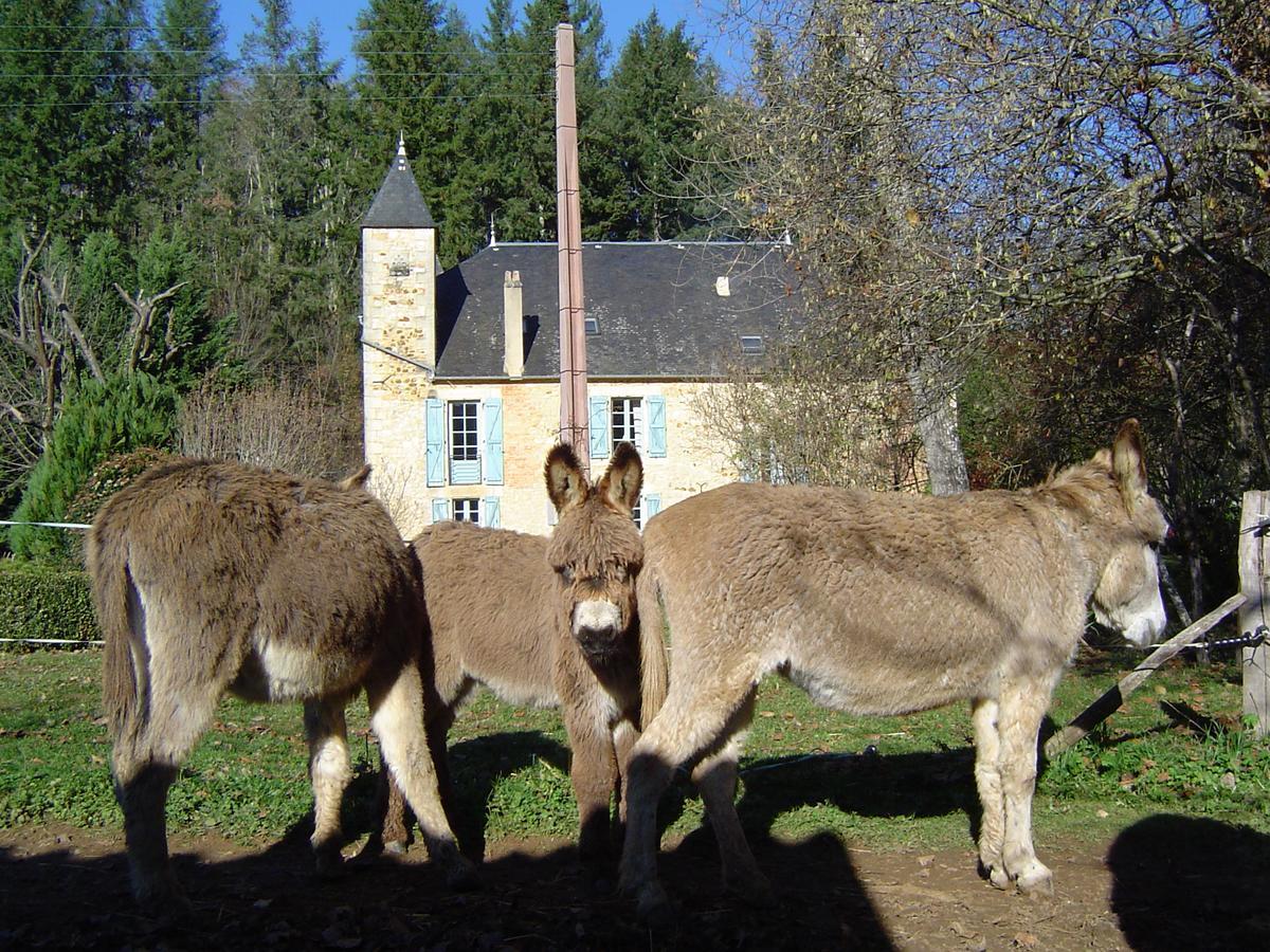 Le Moulin De Planiol Bed & Breakfast Le Vigan  Eksteriør bilde